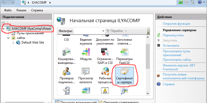 Iis настроить https и ArcGIS Enterprise