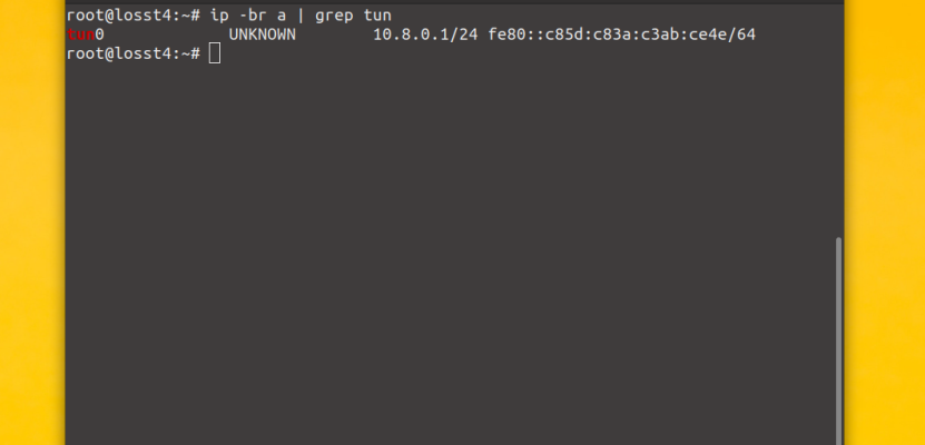 Ifconfig pool persist ipp txt не работает